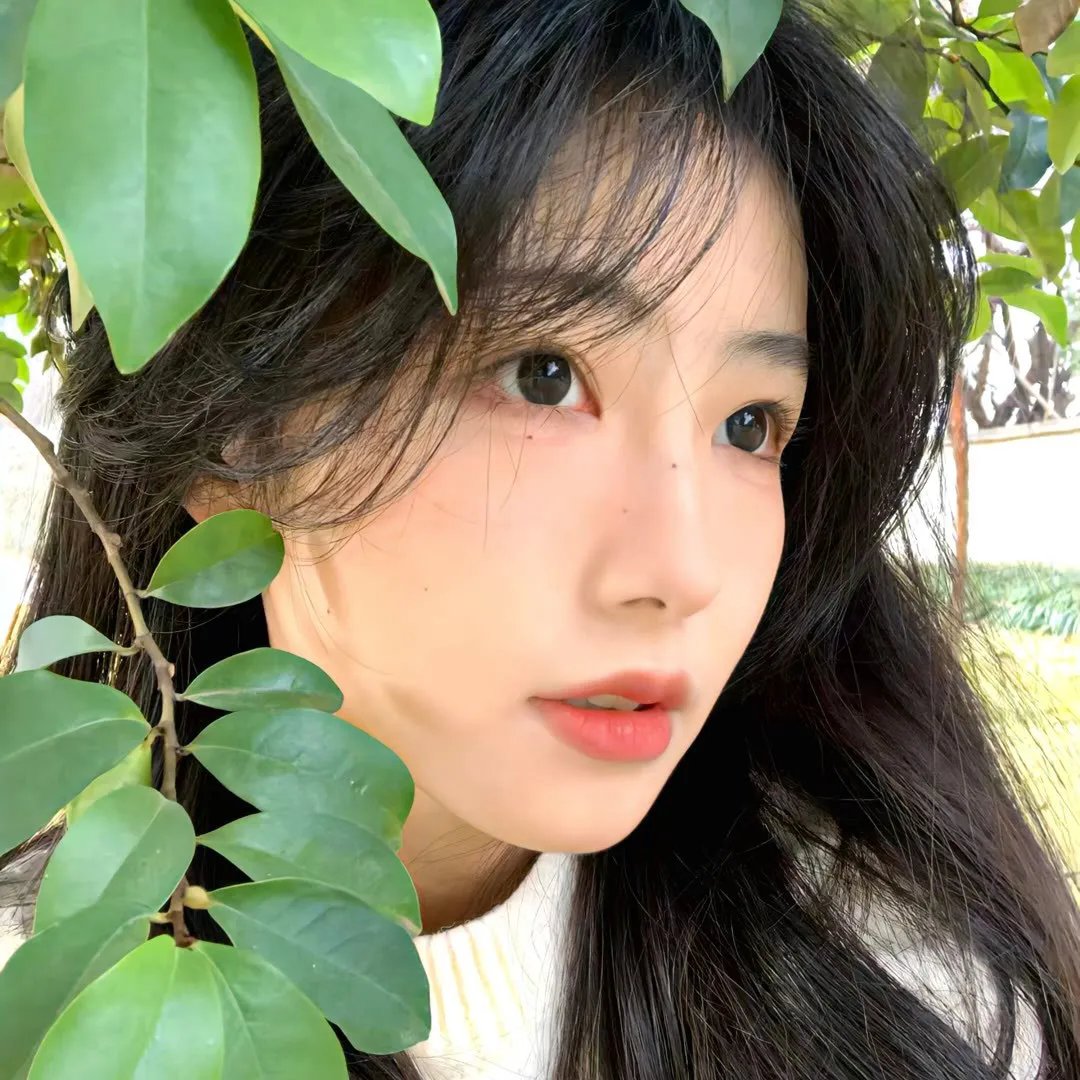 消逝的琥珀宫